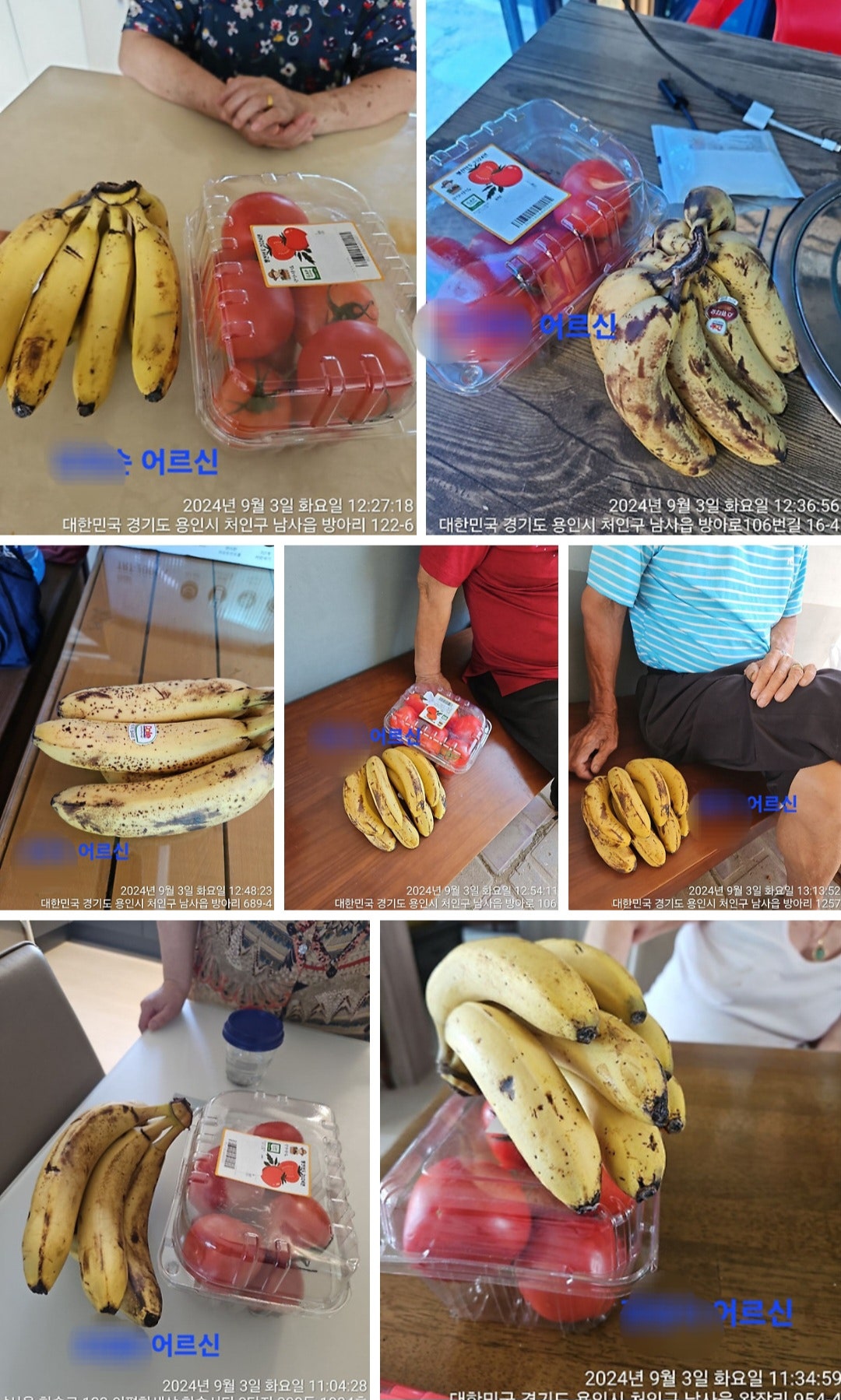 2024.09 과일·채소 나눔 — 임박 바나나·토마토를 상태 확인 후 당일 전달.